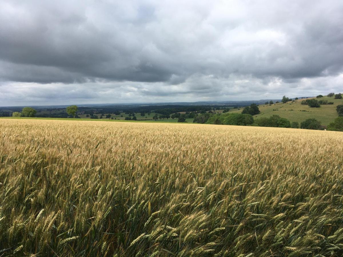Fontenay-près-Vézelay Au Cheval Bleu Bed & Breakfast エクステリア 写真